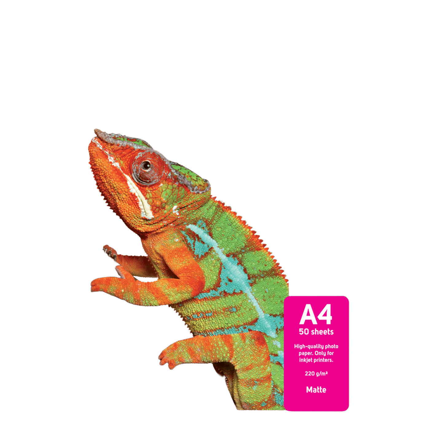 Luxorparts Matt fotopapir A4 50-pk.