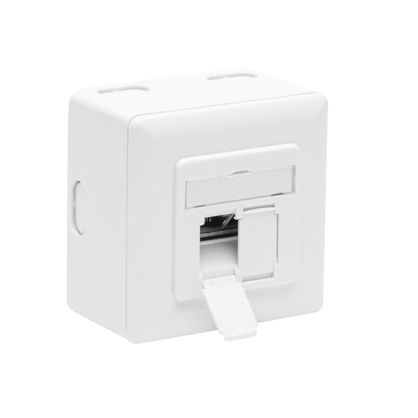 Luxorparts Utanpåliggande FTP-nätverksuttag Cat. 6 2-port