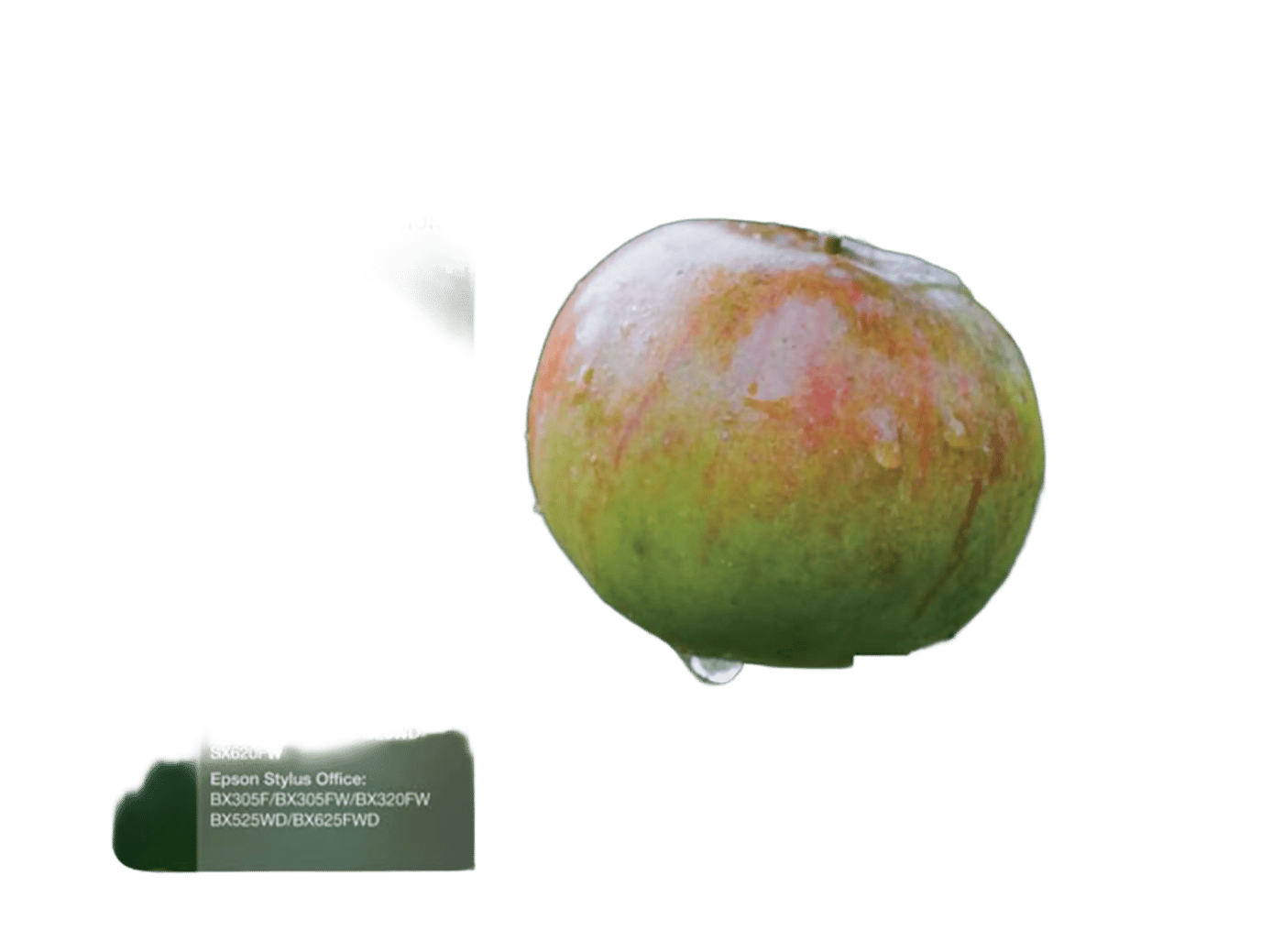 Epson T1295 Bläckpatron 4-pack