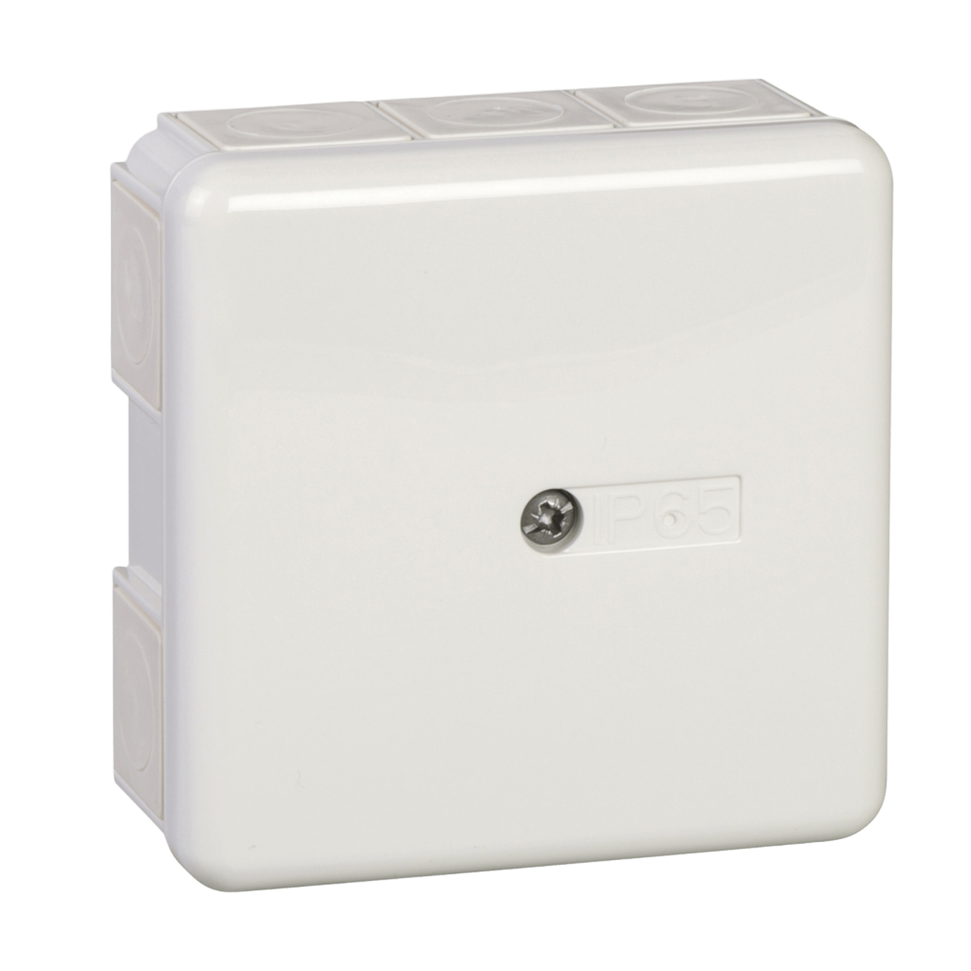 Schneider Electric Utanpåliggande kopplingsdosa IP55 med plint