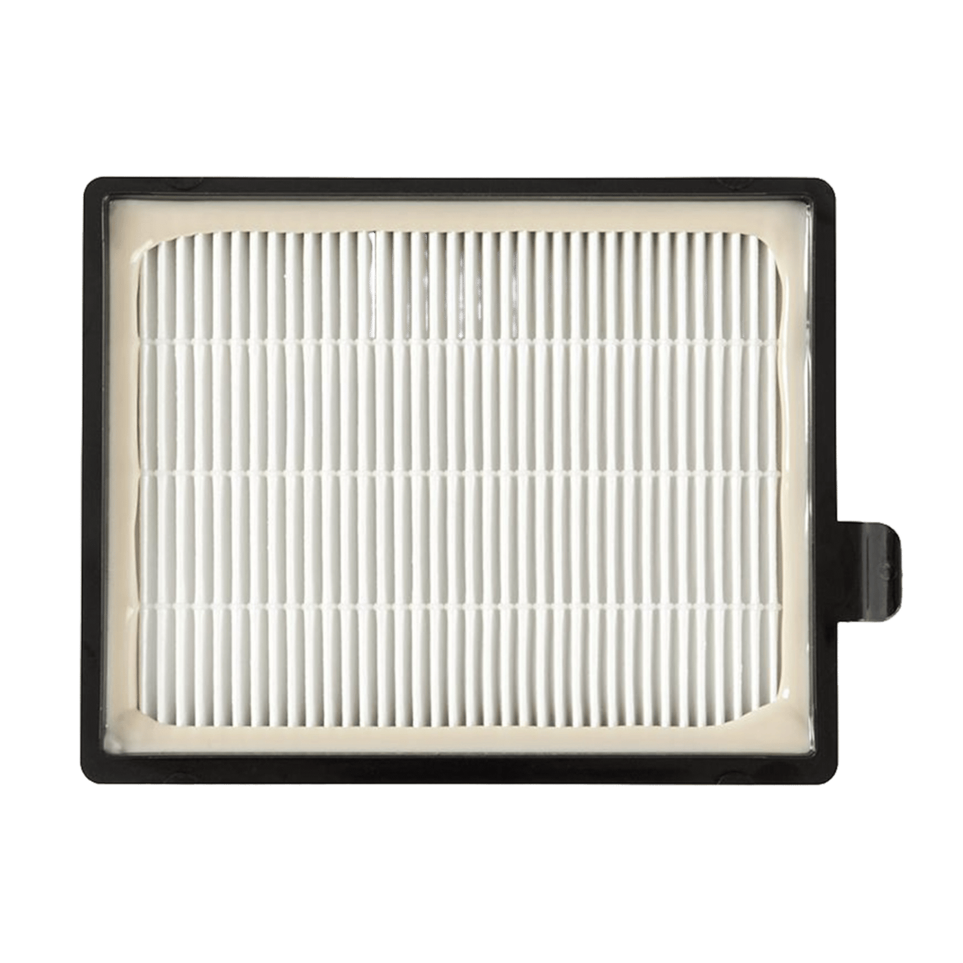 HEPA-filter FC8031/Electrolux