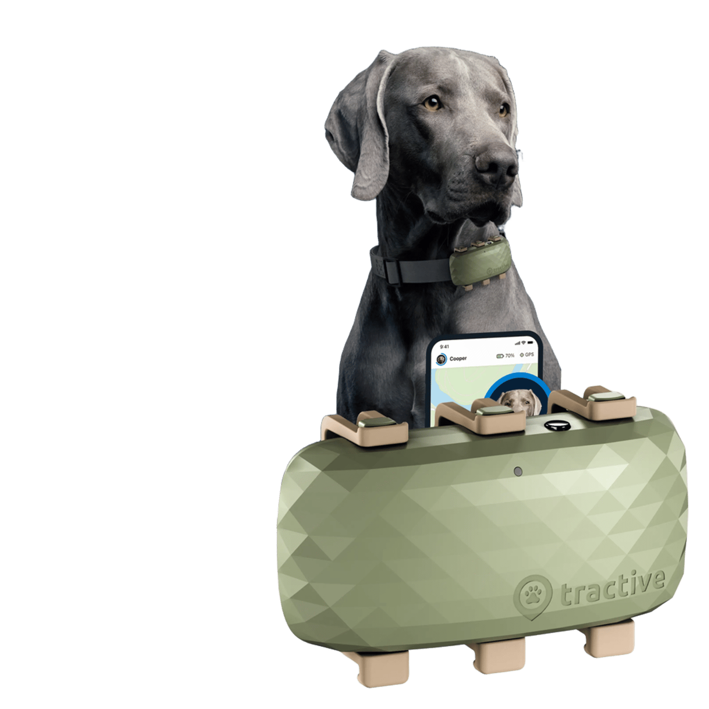 Tractive DOG XL GPS-tracker för hund