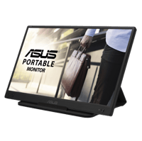 Portable dataskjermer