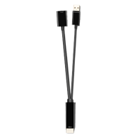 DisplayPort til HDMI