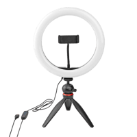 Ring light
