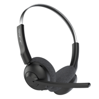 Dataheadset