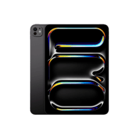 iPad Pro
