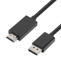 DisplayPort