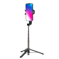 Gimbal