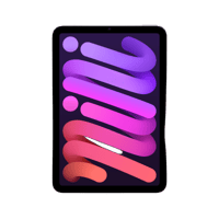 iPad Mini