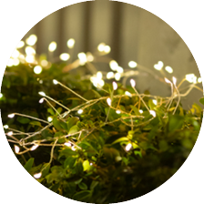 Trädgårdsbelysning