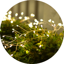 Trädgårdsbelysning