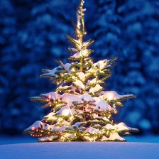 Se vår kategori for julebelysning