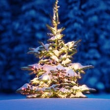 Se vår kategori for julebelysning