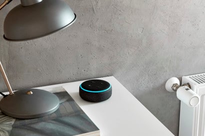 danfoss-ally-situation14-alexa-echo-dot-radiator-thermostat-ally-is-all-ears (1).jpg