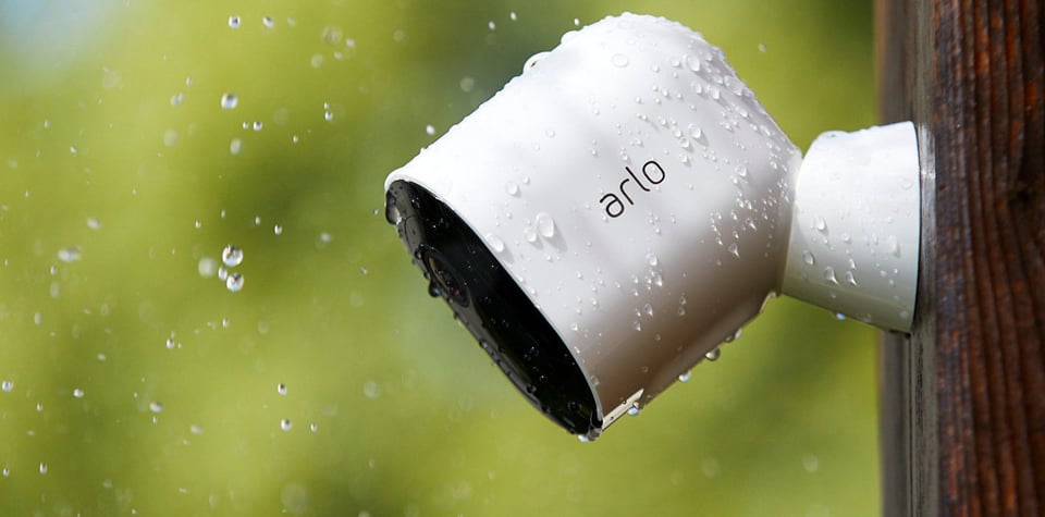 Arlo är vattentalig.jpg