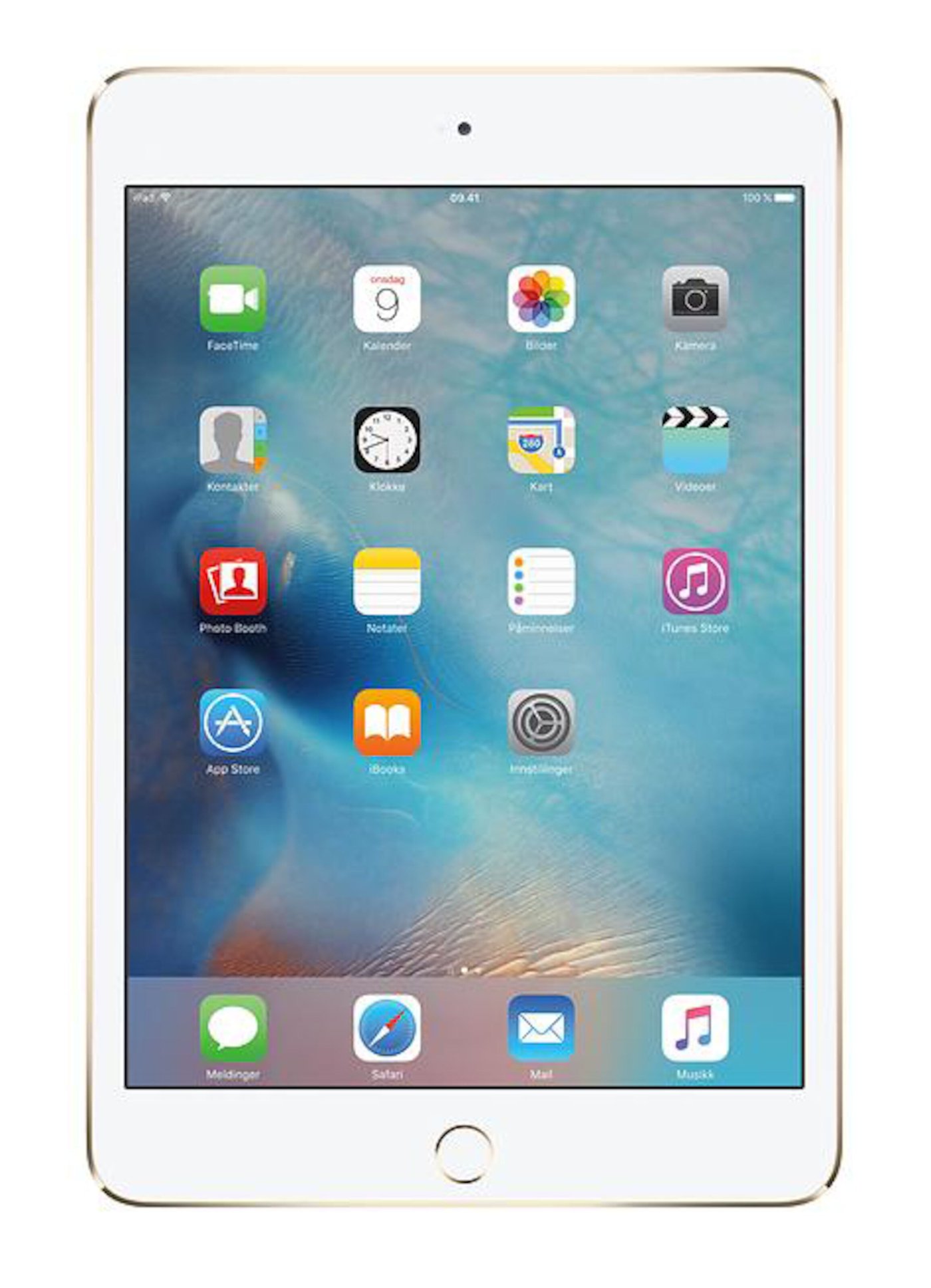 iPad mini 4 (2015)