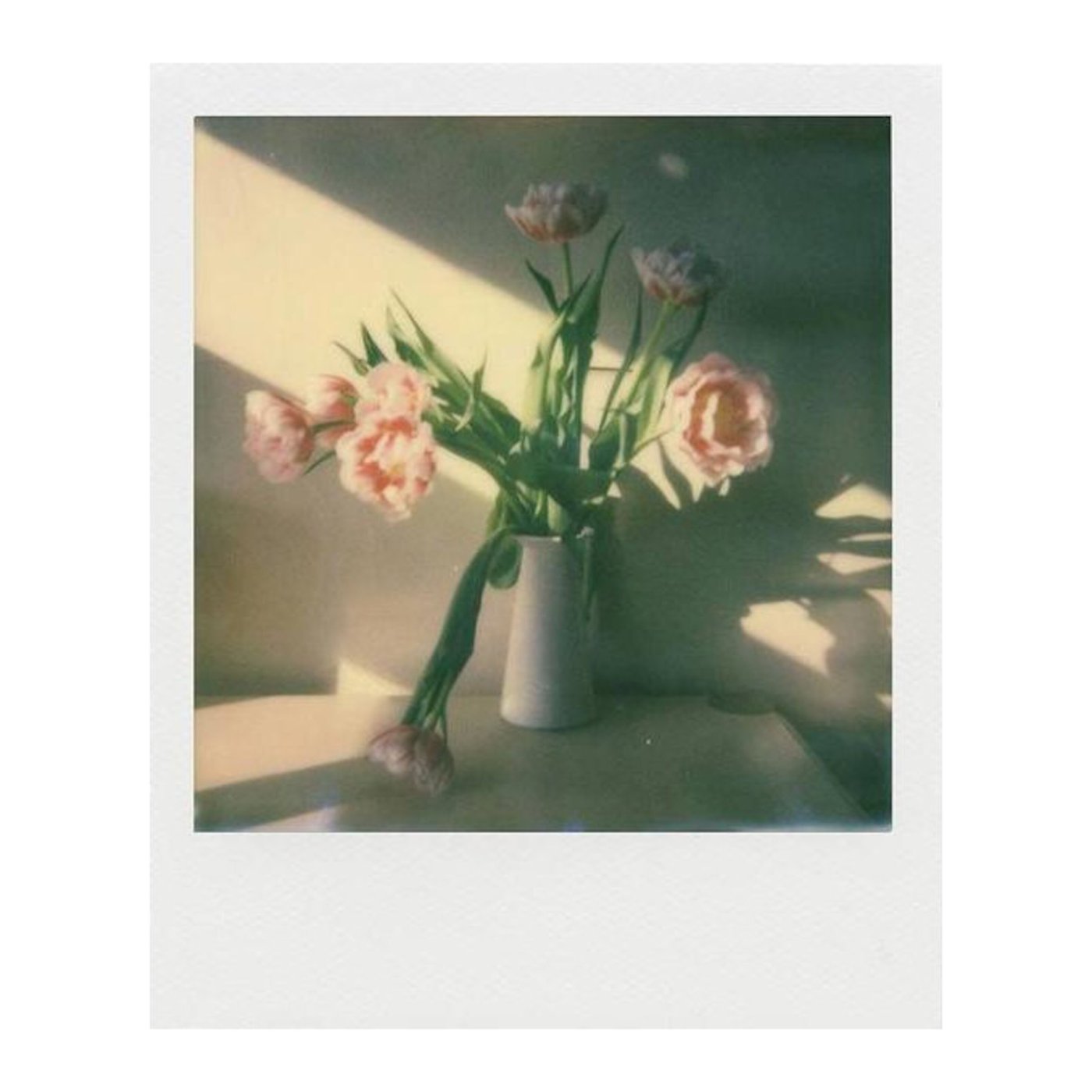 Polaroid Film til Polaroid Now og Onestep 2 i-Type Farge