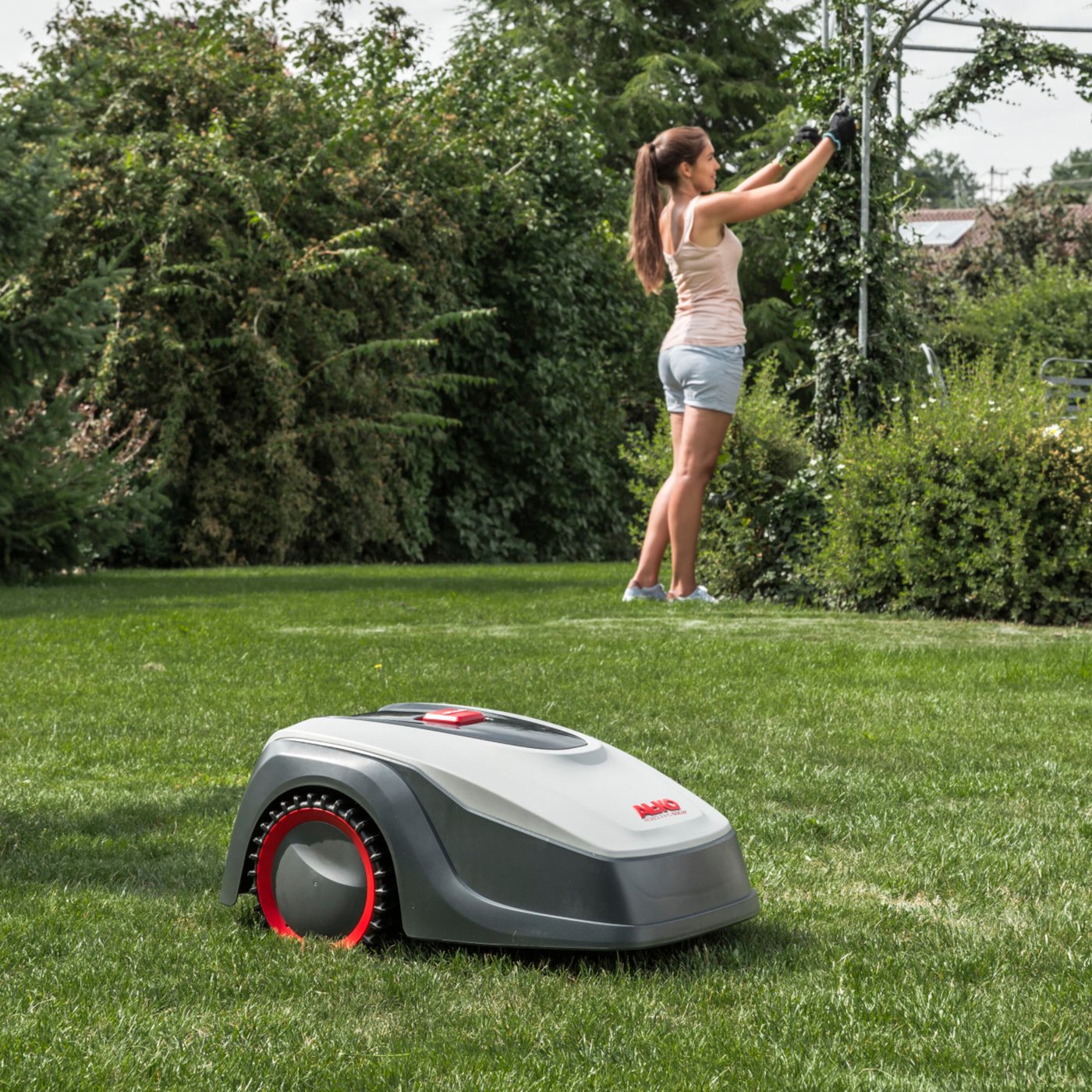 AL-KO Robolinho 800 W Robotgressklipper 800 m²