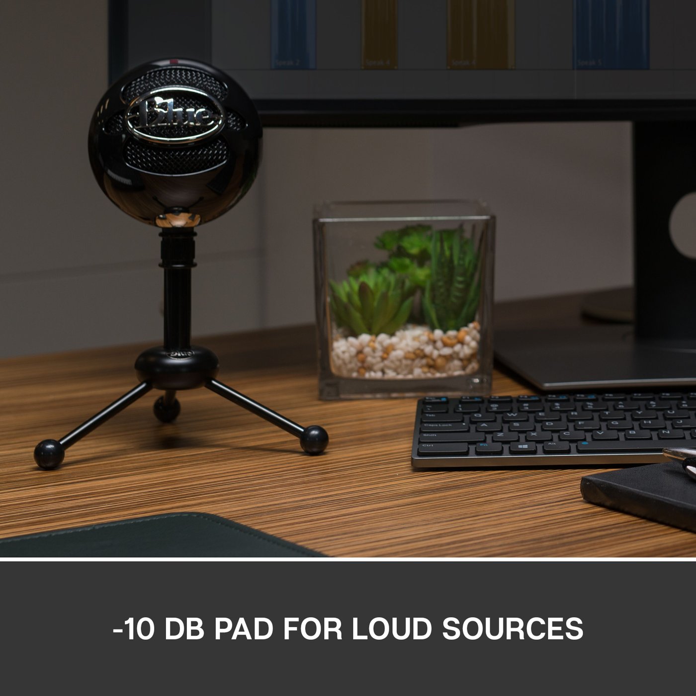 Logitech C Blue Snowball USB-stereomikrofon Svart