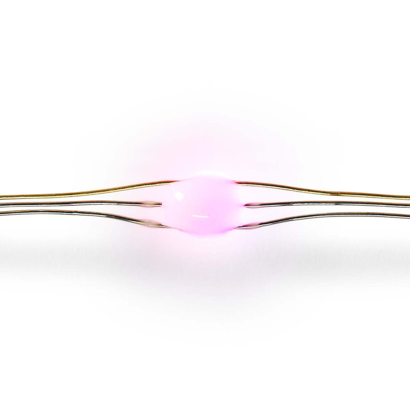 Nedis Smart Festbelysning 5 m