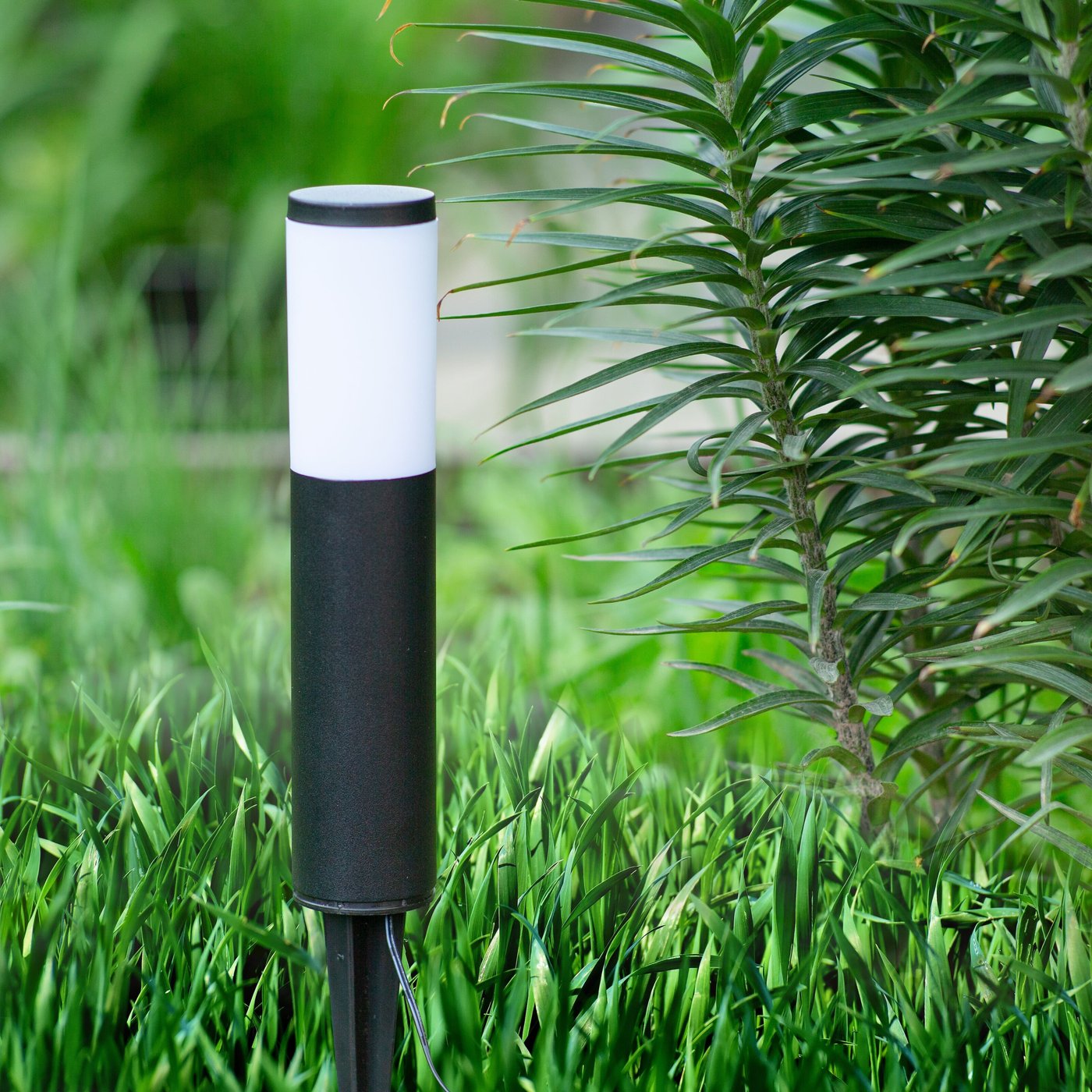 Luxorparts 245 Solcelledrevet pullert 3-pk.