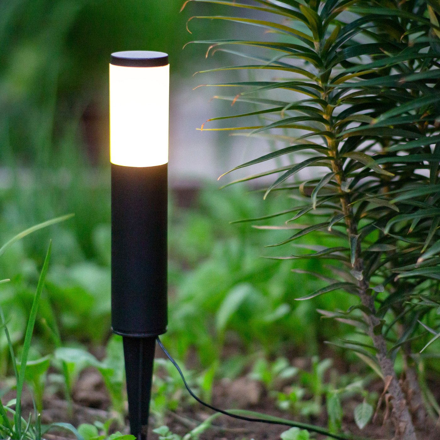 Luxorparts 245 Solcellsdriven pollare 3-pack