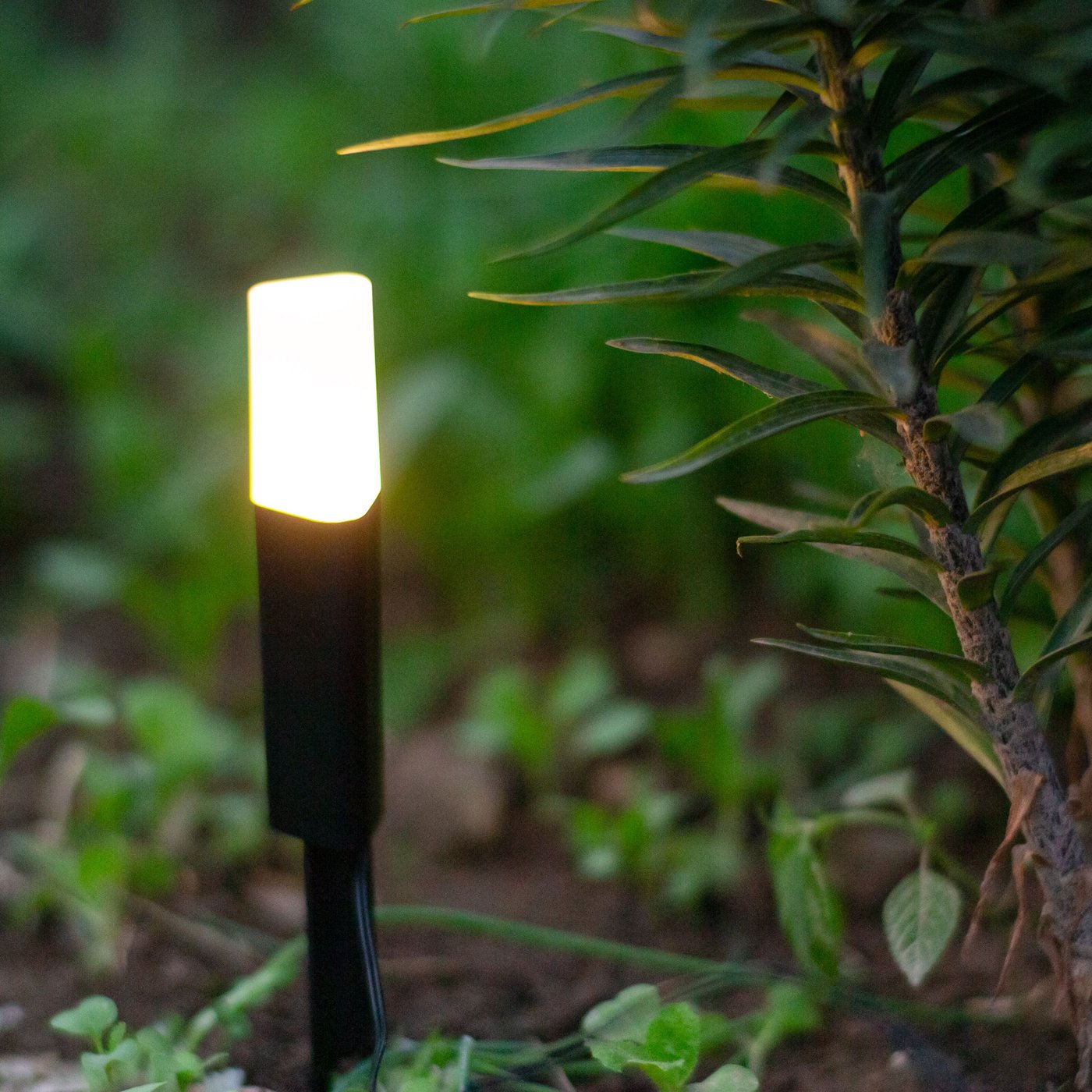 Luxorparts 125 Solcellsdriven pollare 4-pack