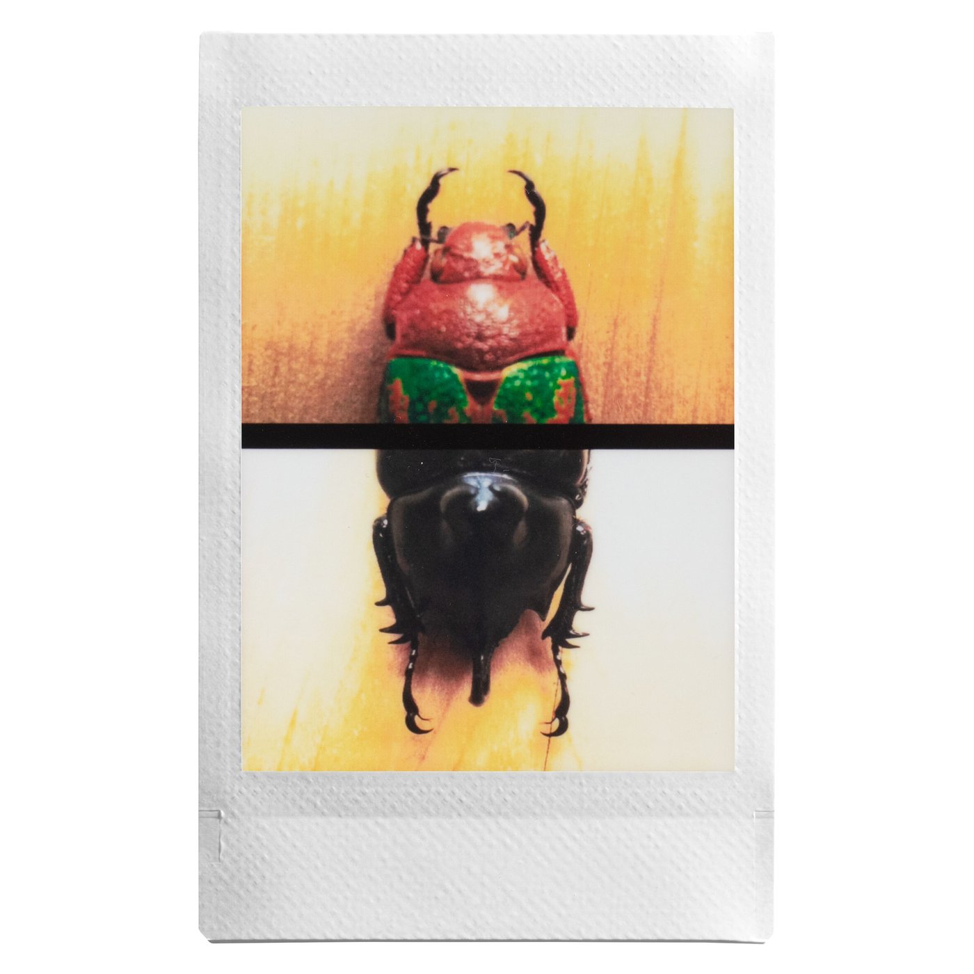 Fujifilm Instax Mini Evo Svart