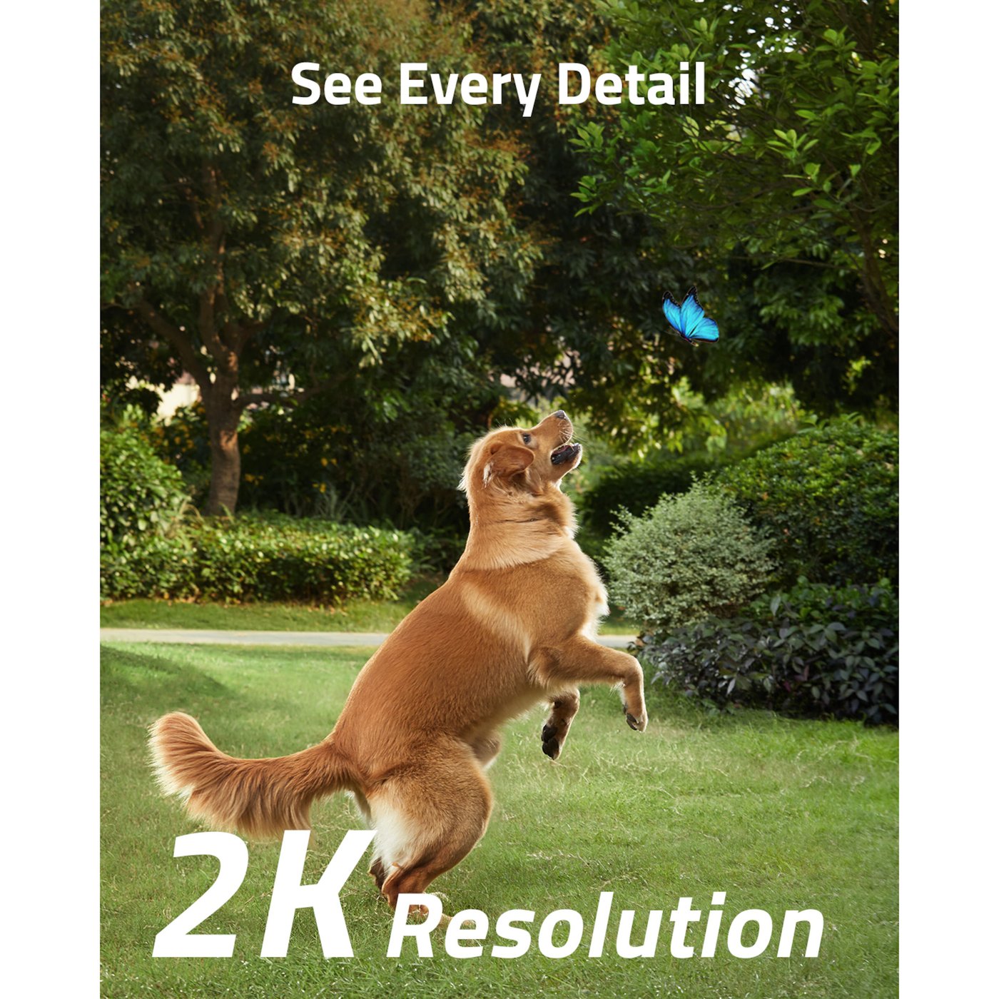 Eufy SoloCam S40 Övervakningskamera