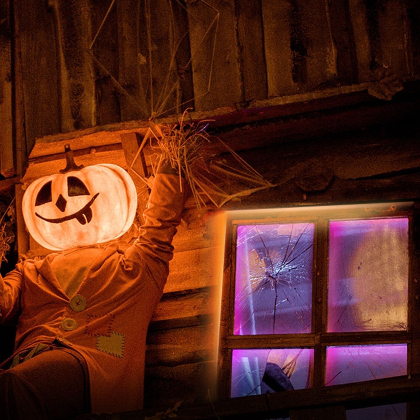 TP-link Tapo L920-5 Smart Light Strip RGB 5 m