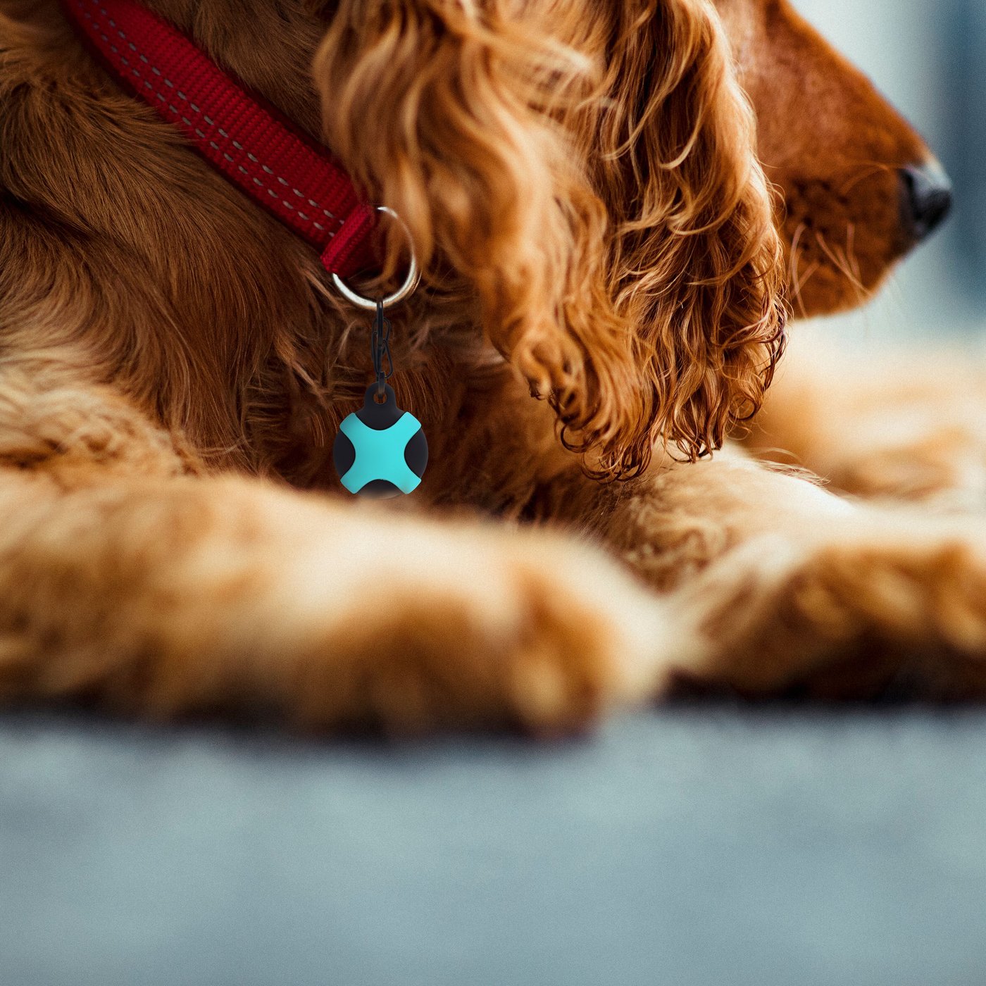 Linocell AirTag silikonfodral för djur Svart/Röd