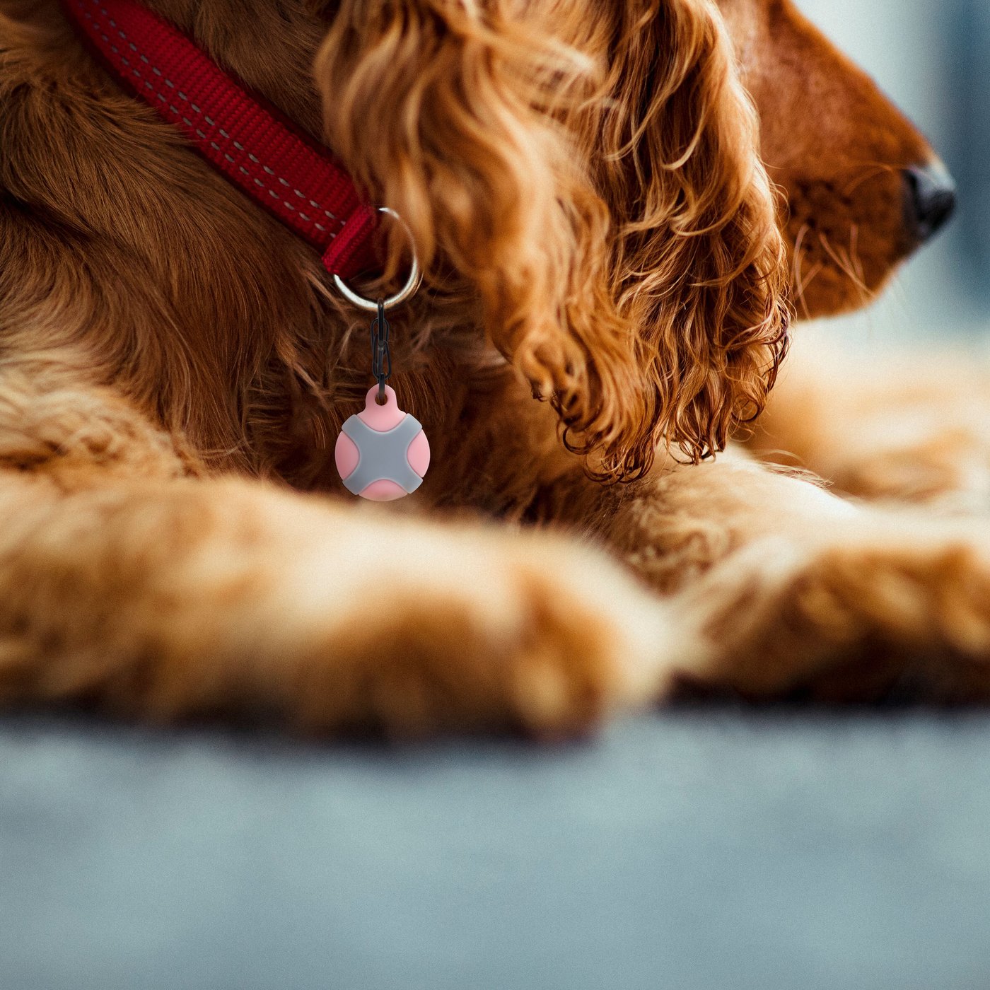 Linocell AirTag Silikonetui for dyr Rosa/Grå