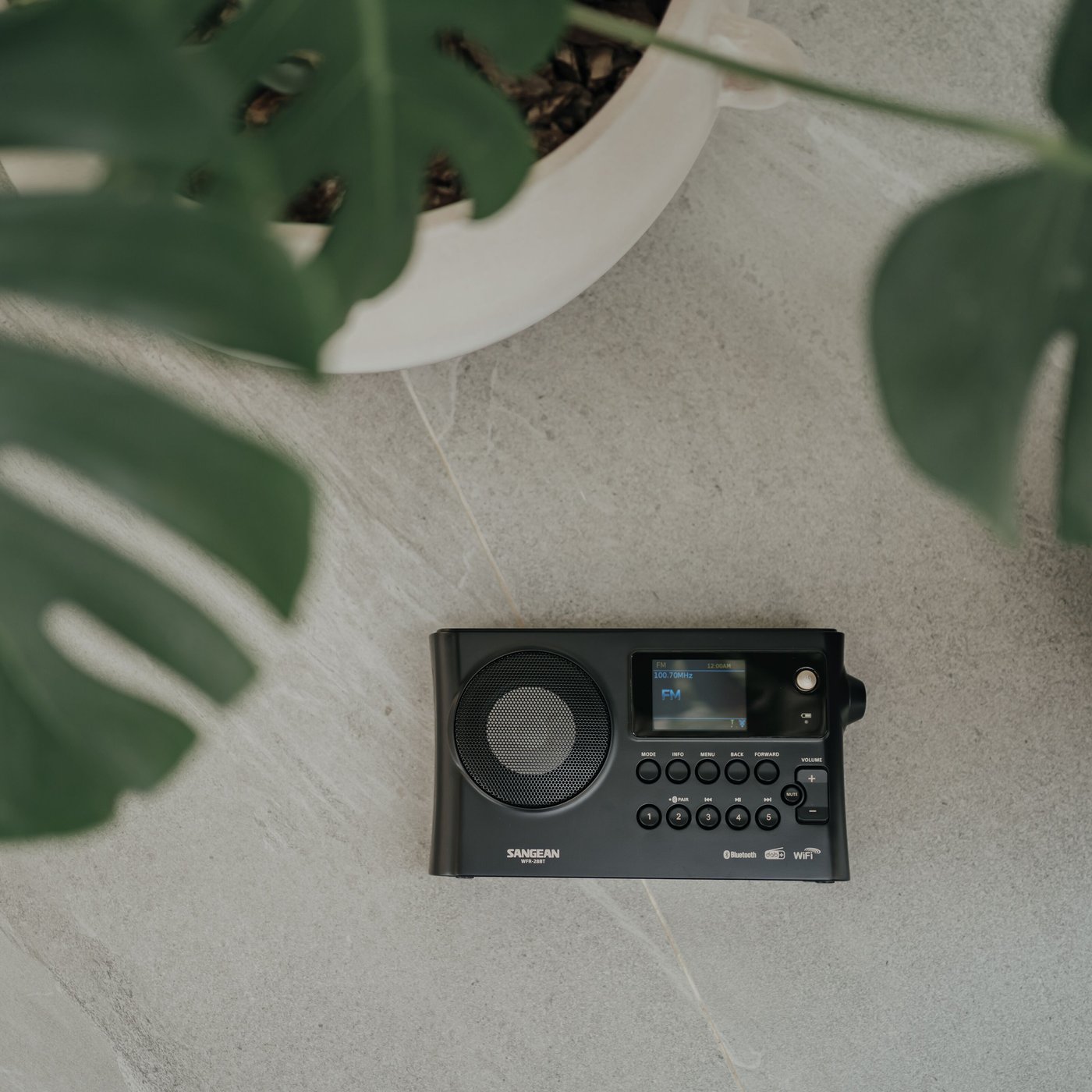 Sangean WFR-28 BT Internetradio med FM/DAB+