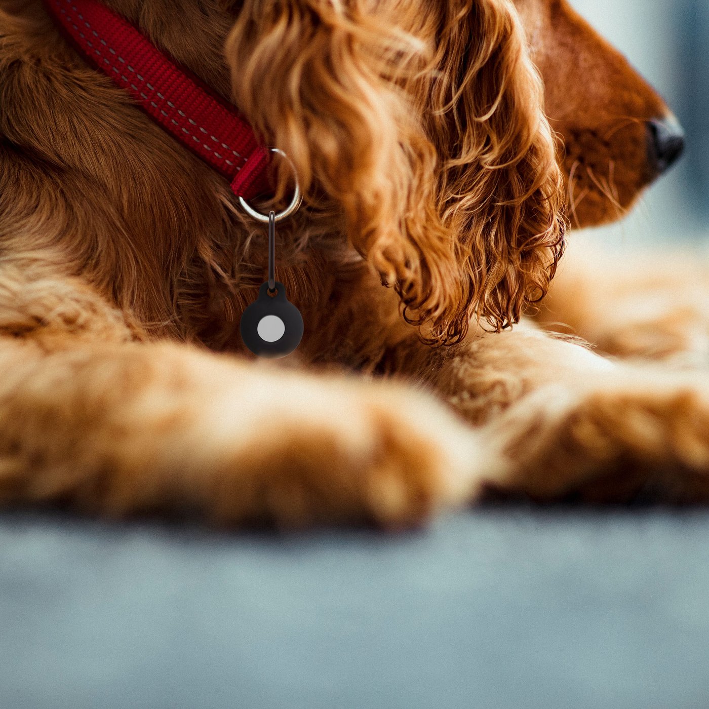 Linocell AirTag Silikonetui med karabinkrok Svart