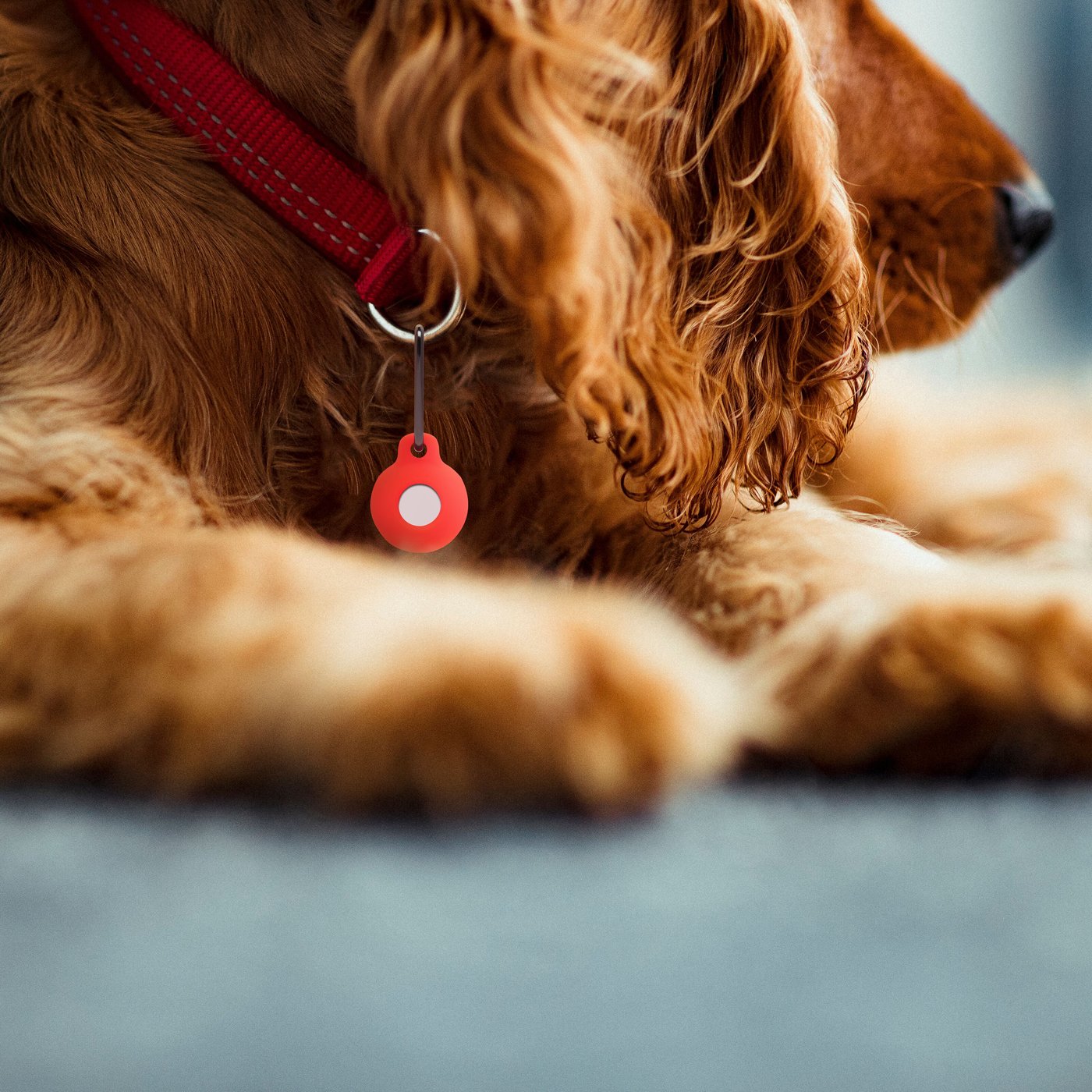 Linocell AirTag Silikonetui med karabinkrok Rød