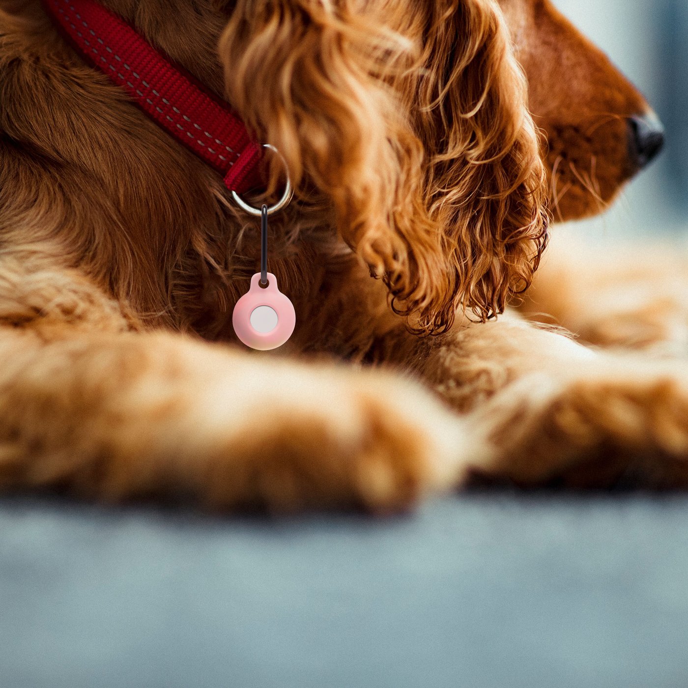 Linocell AirTag silikonfodral med karbinhake Rosa