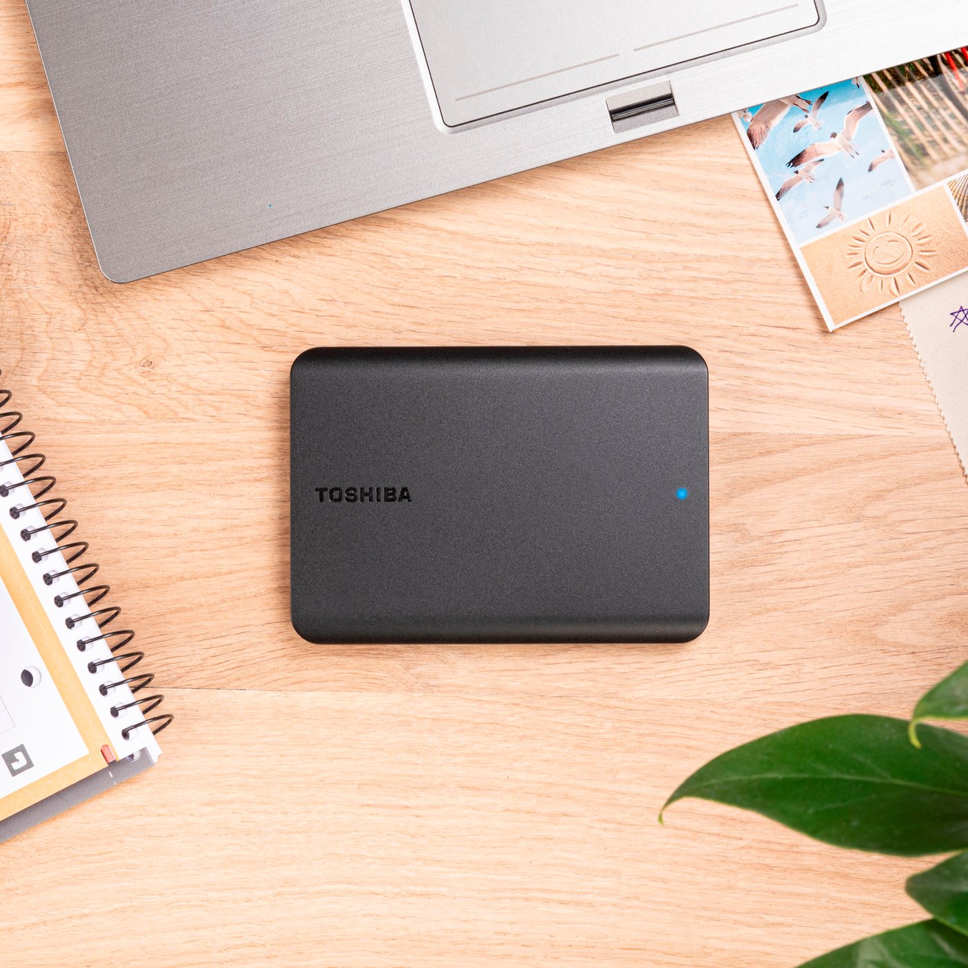 Toshiba Canvio Basics Ekstern harddisk 1 TB