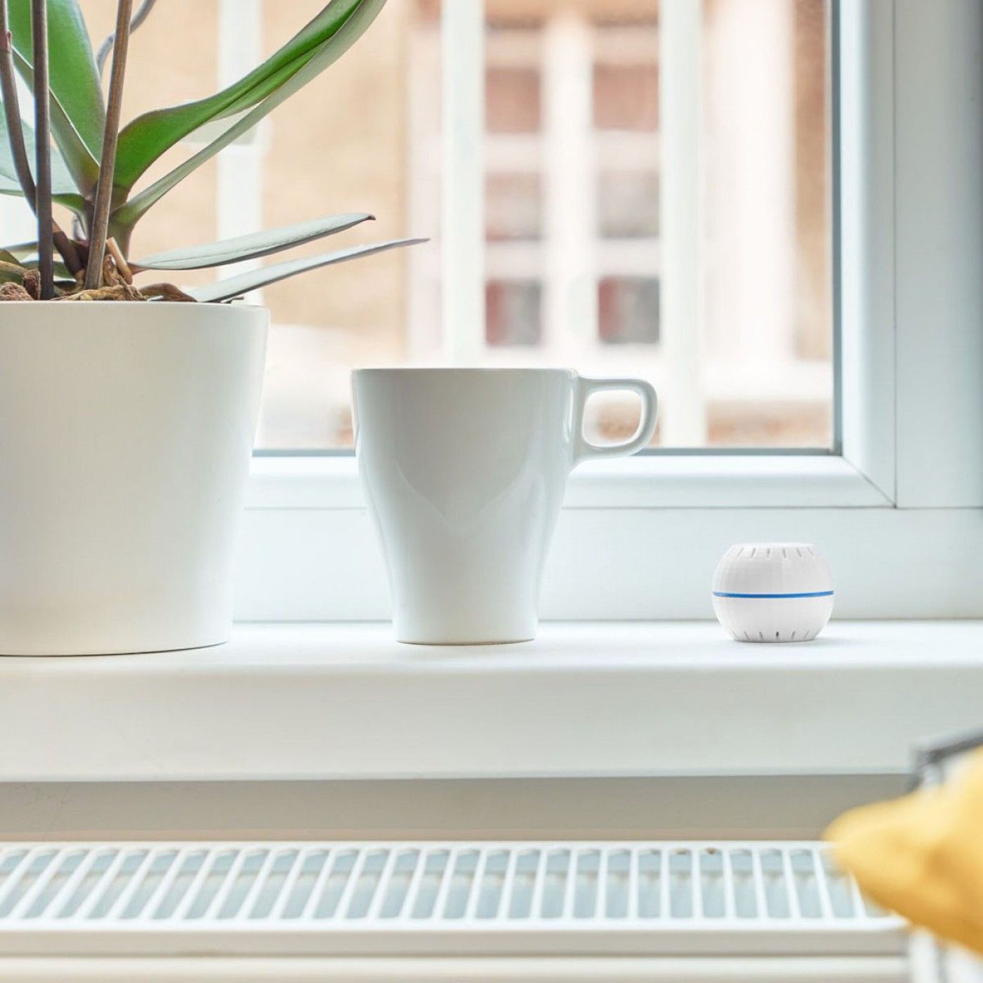 Shelly H&T Smart termometer och hygrometer Vit