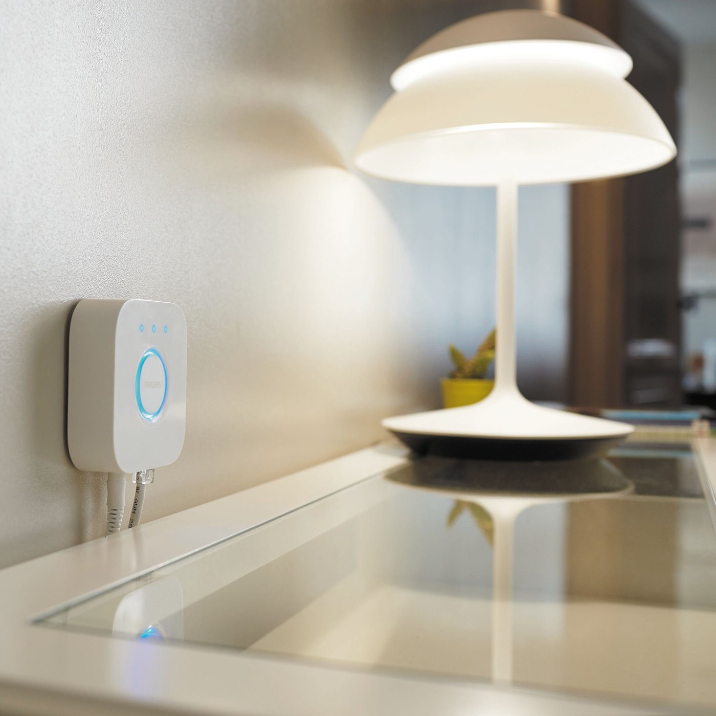 Philips Hue Bridge Bro