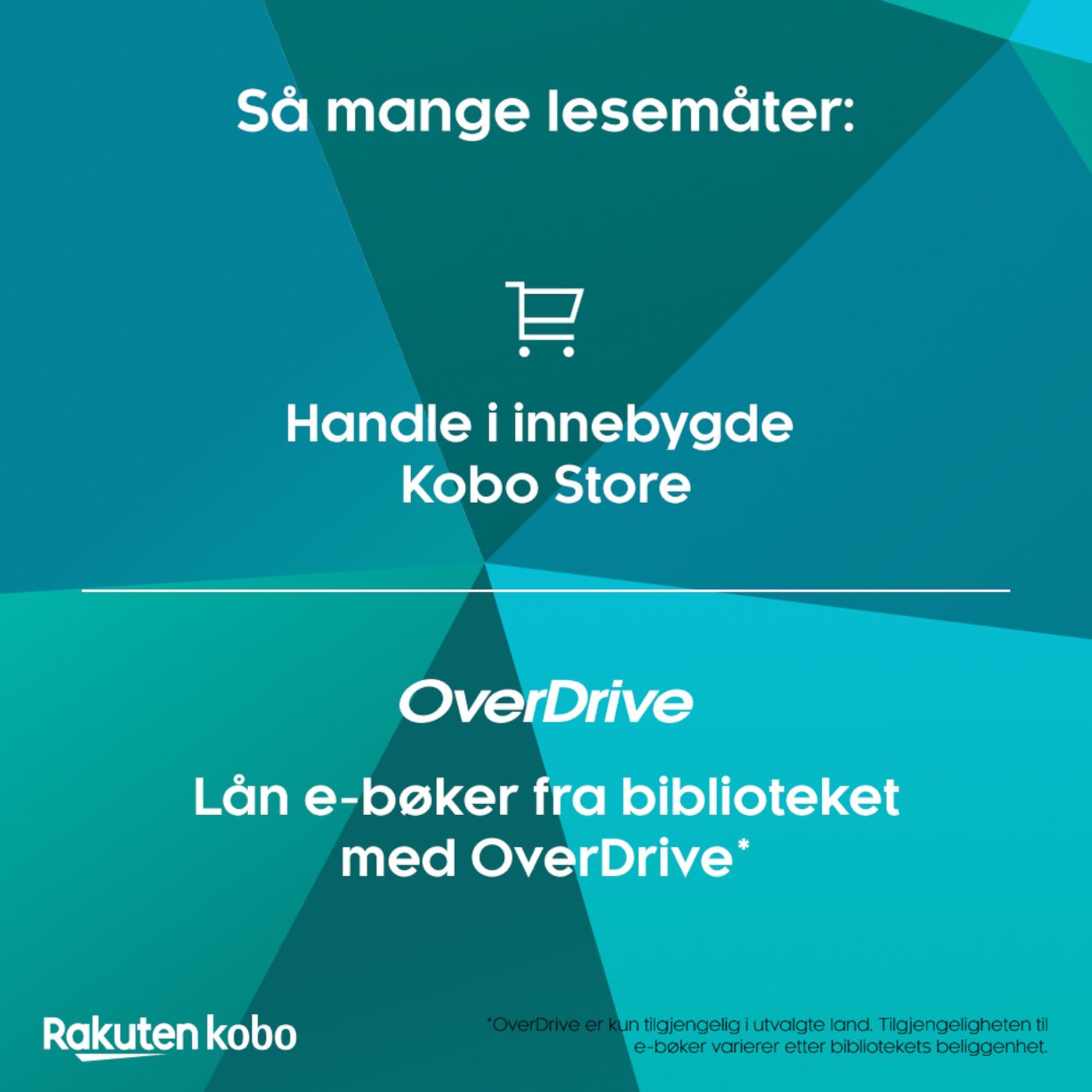 Kobo Notebook Elipsa 2E med Kobo Stylus 2