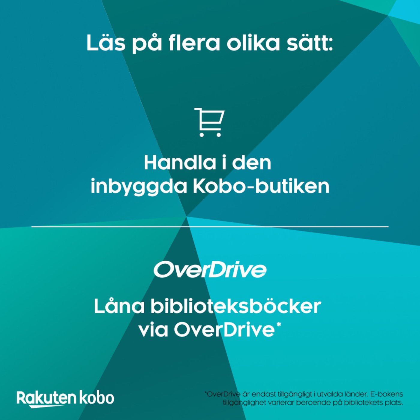 Kobo Notebook Elipsa 2E med Kobo Stylus 2