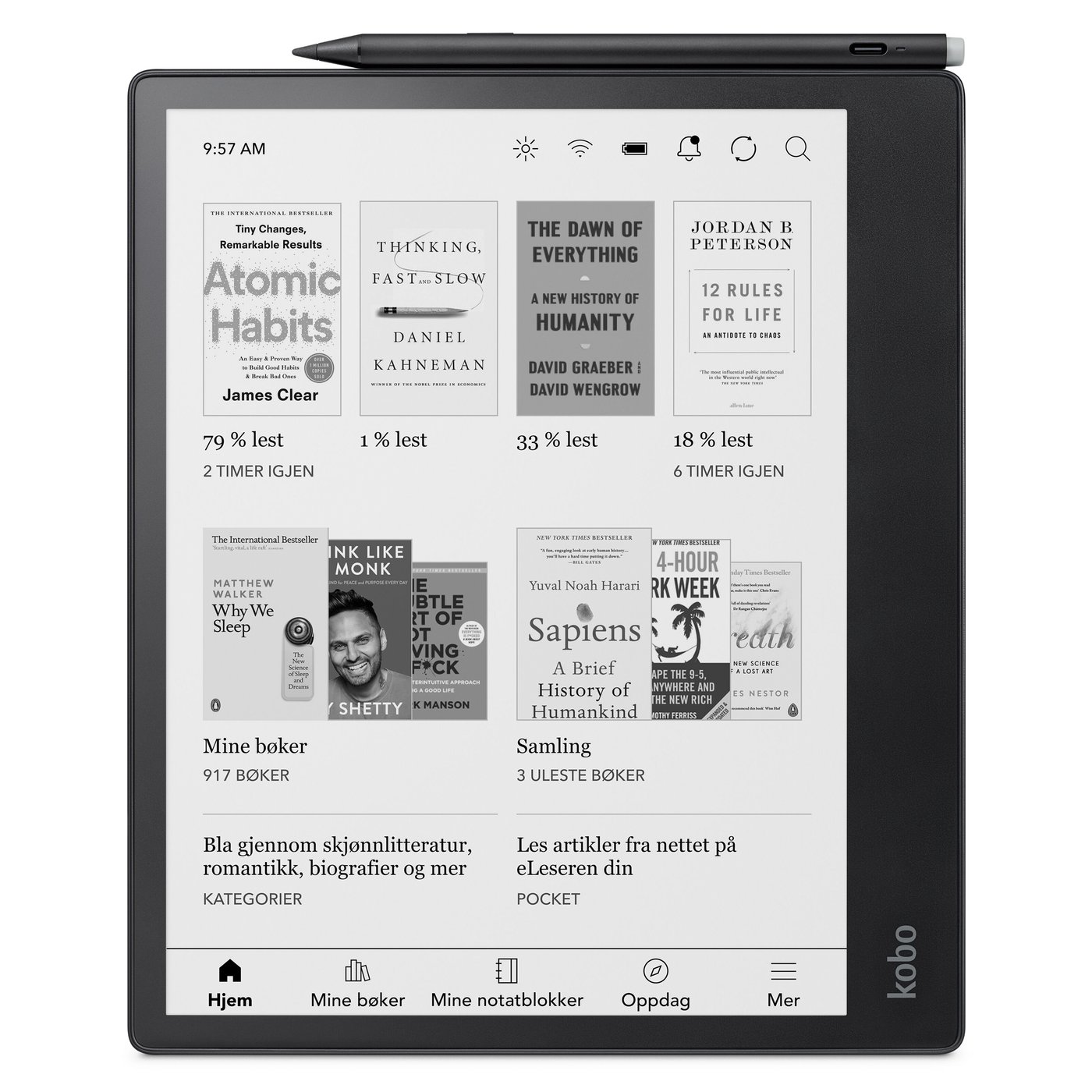 Kobo Notebook Elipsa 2E med Kobo Stylus 2