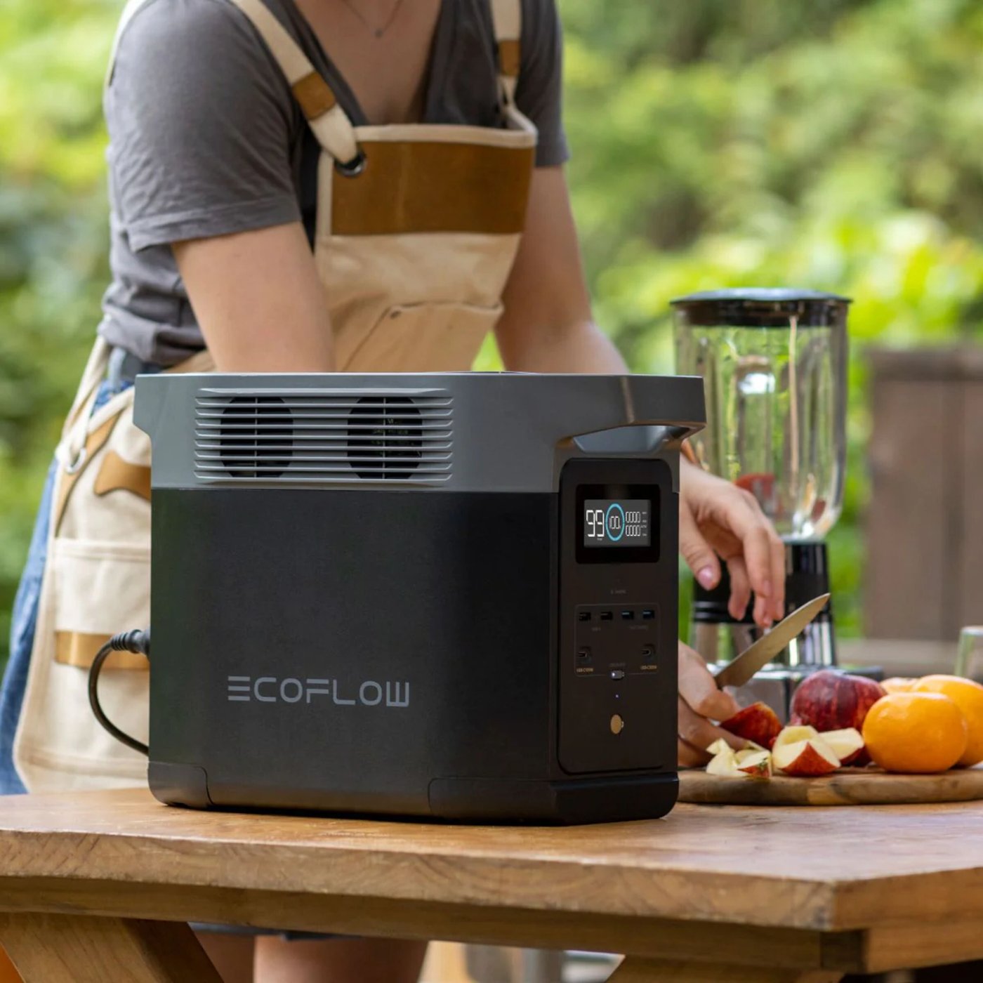 EcoFlow Delta 2 Portabel kraftstation 1024 Wh