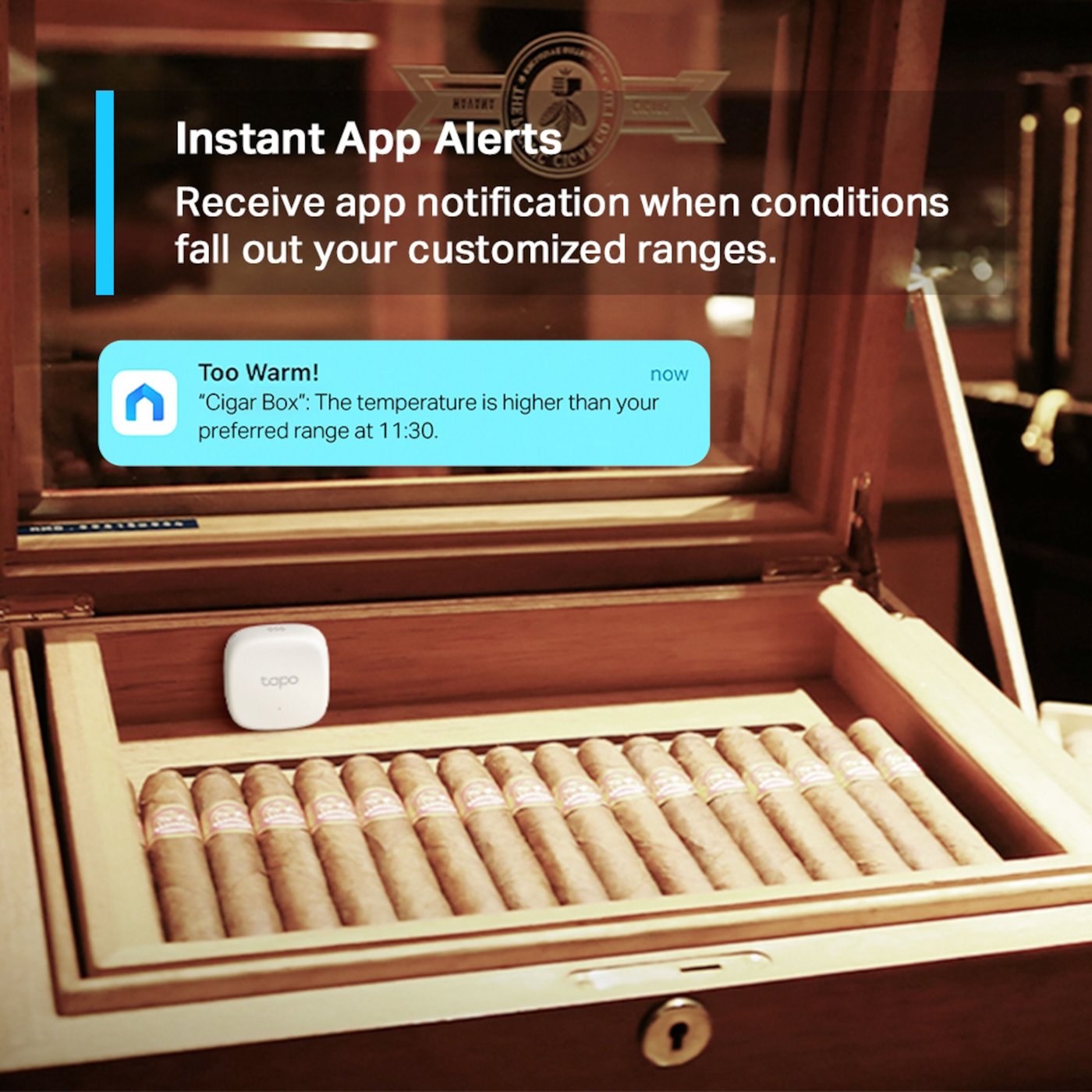 TP-link Tapo T310 Smart termometer og hygrometer