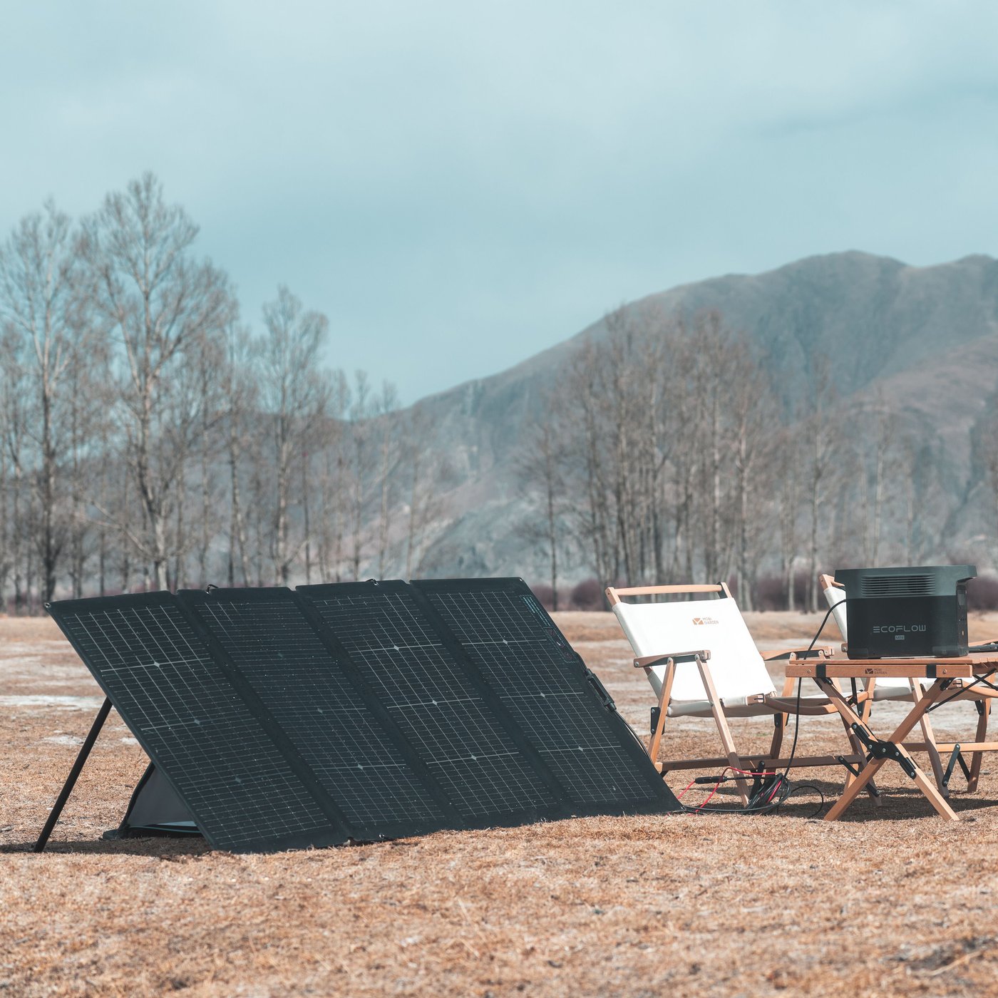 EcoFlow Solpanel 220 W