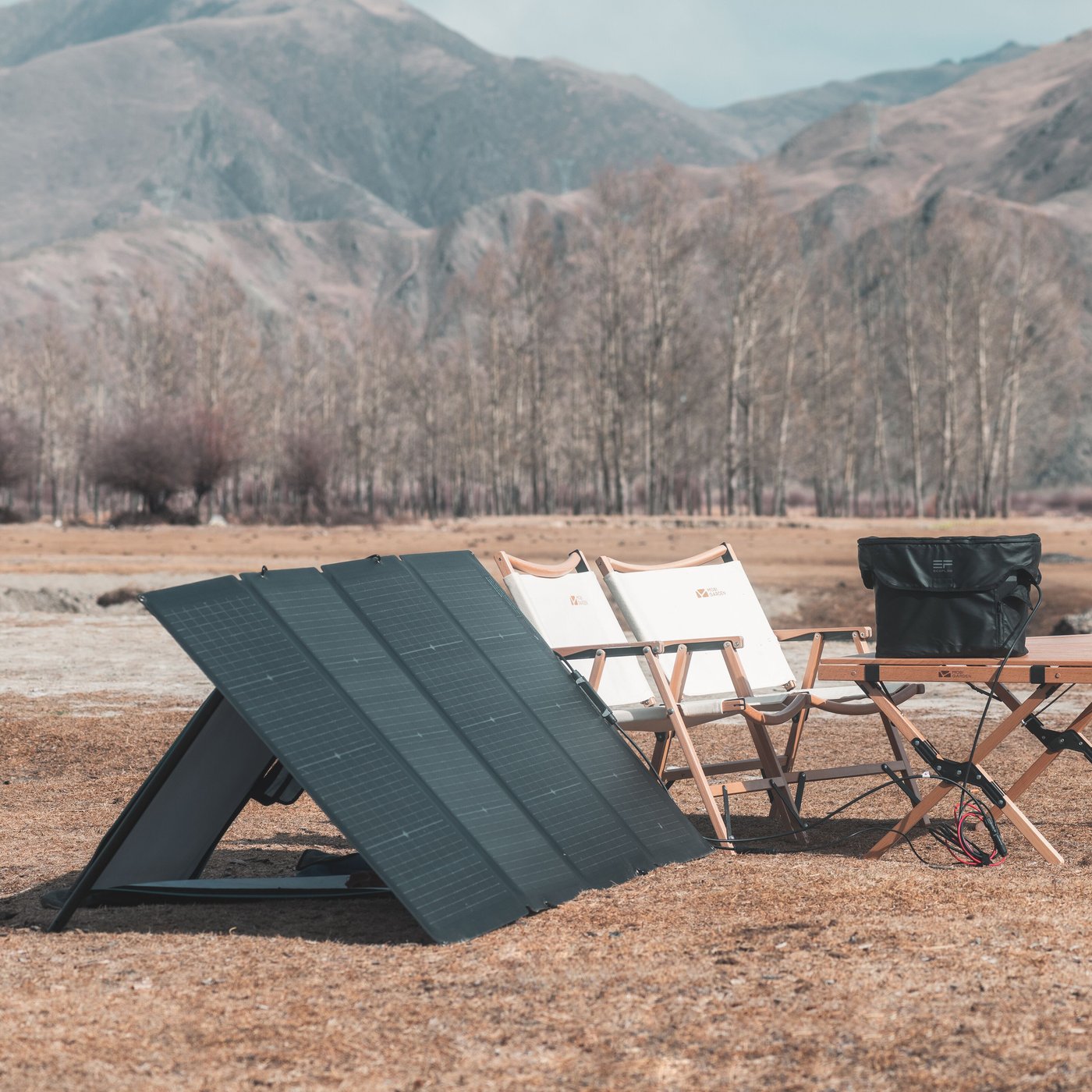 EcoFlow Solpanel 220 W