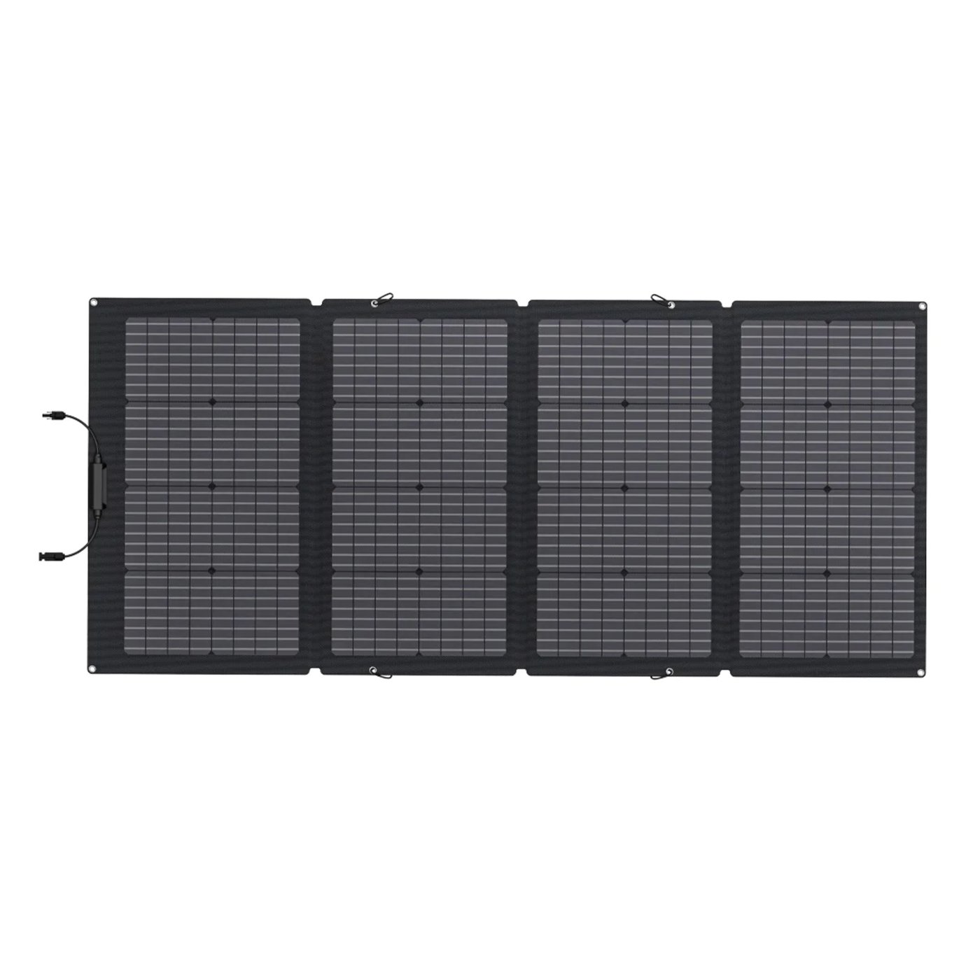 EcoFlow Solpanel 220 W