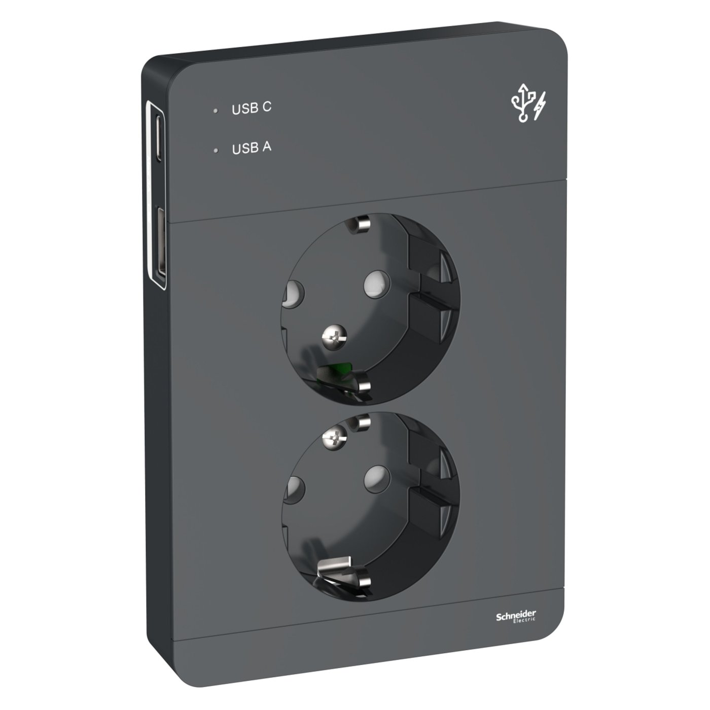 Schneider Electric Exxact Jordat vägguttag med USB-portar Svart