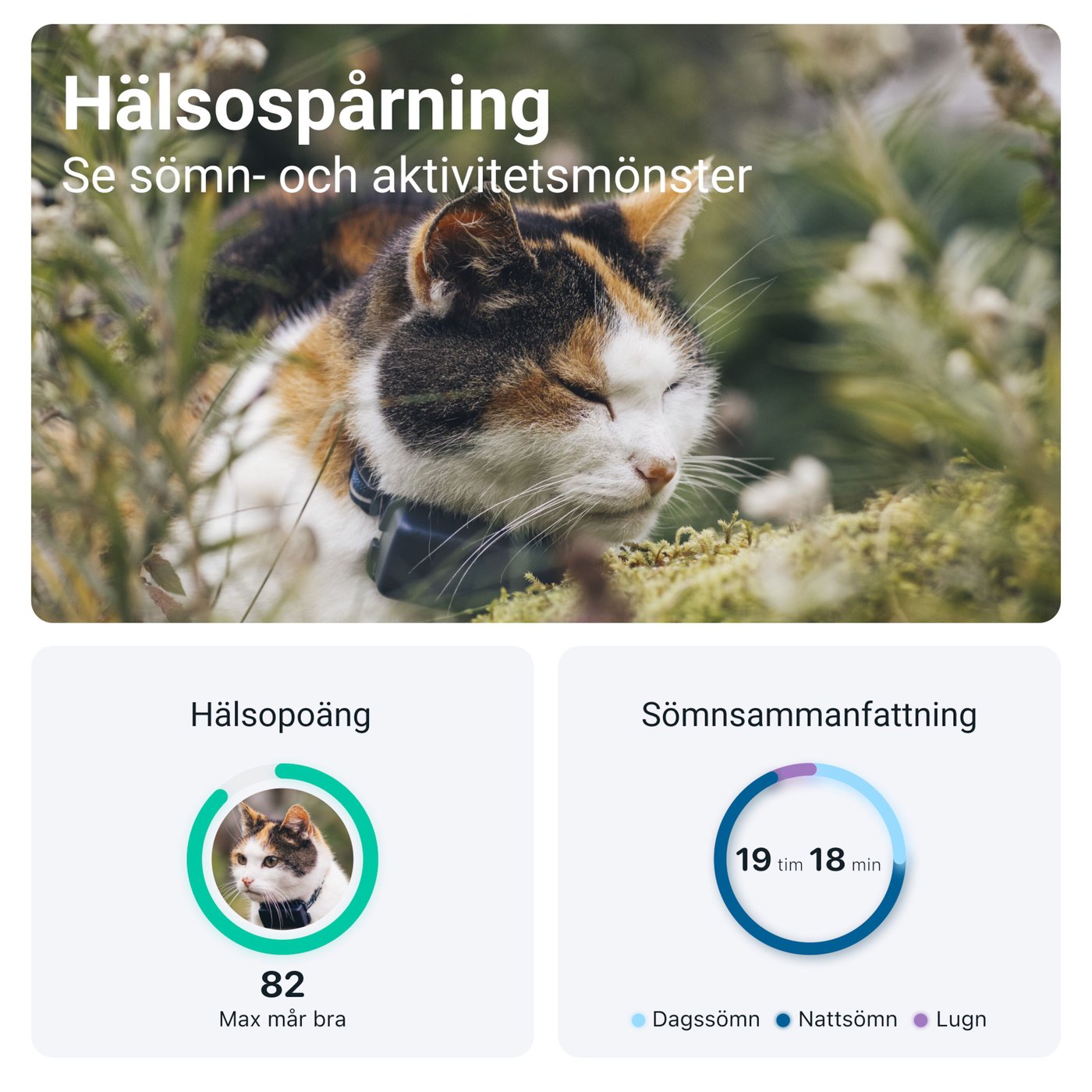 Tractive CAT Mini – Katt-GPS med hälsospårning
